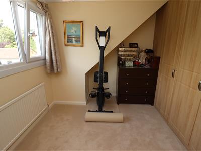 Picture 19